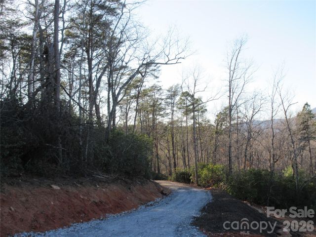 0 Levi Road, Columbus, NC 28722