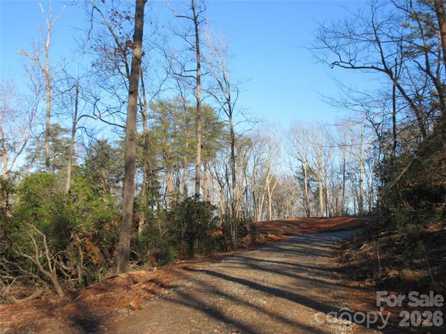 0 Levi Road, Columbus, NC 28722