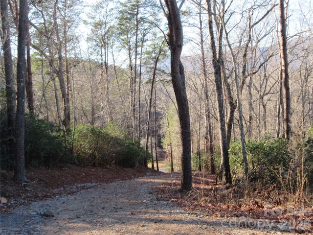 0 Levi Road, Columbus, NC 28722