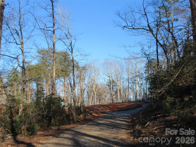 0 Levi Road, Columbus, NC 28722