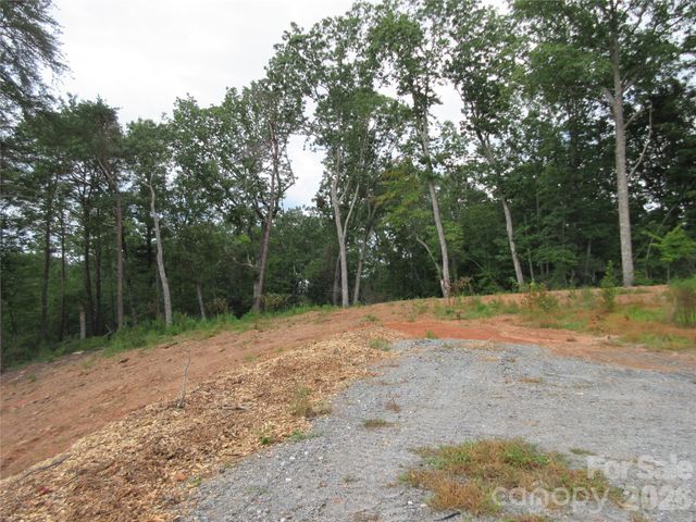 0 Levi Road, Columbus, NC 28722