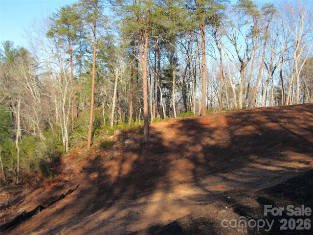 0 Levi Road, Columbus, NC 28722