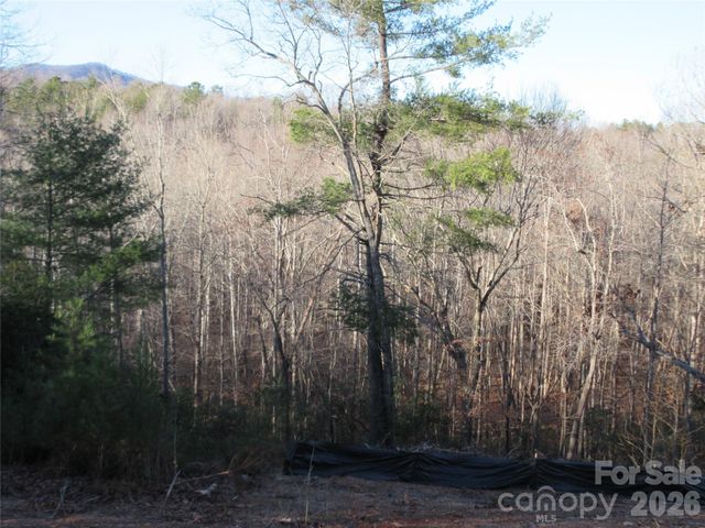 0 Levi Road, Columbus, NC 28722