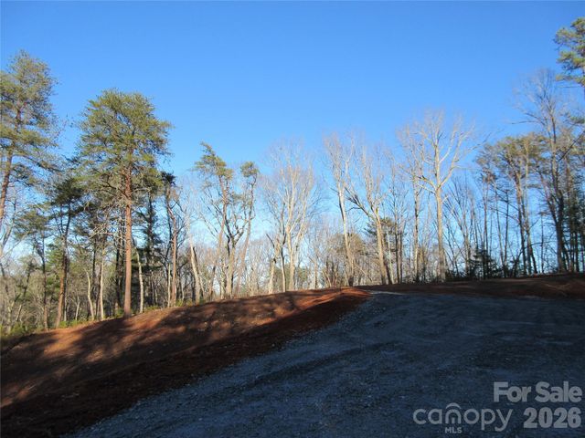 0 Levi Road, Columbus, NC 28722