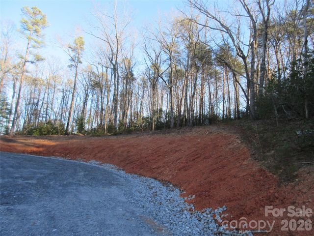 0 Levi Road, Columbus, NC 28722