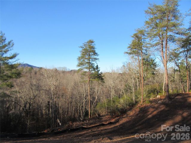 0 Levi Road, Columbus, NC 28722
