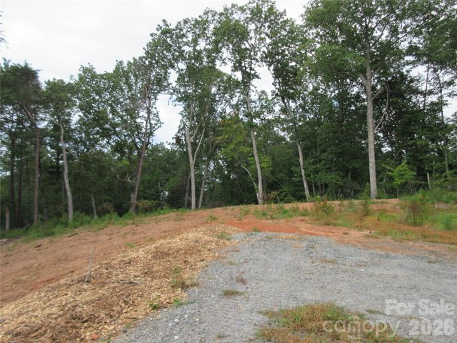 0 Levi Road, Columbus, NC 28722