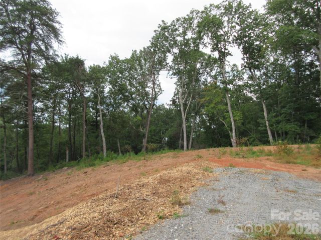 0 Levi Road, Columbus, NC 28722