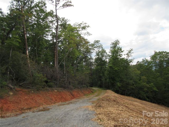 0 Levi Road, Columbus, NC 28722