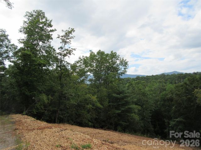 0 Levi Road, Columbus, NC 28722