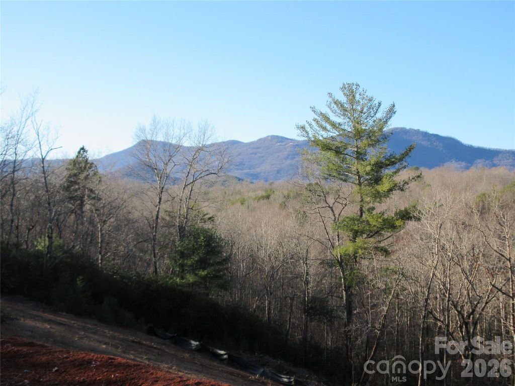 0 Levi Road, Columbus, NC 28722