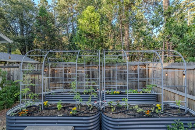 13799 Irishtown Rd, Pine Grove, CA 95665