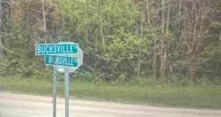 TBD Bucksville Dr., Conway, SC 29527