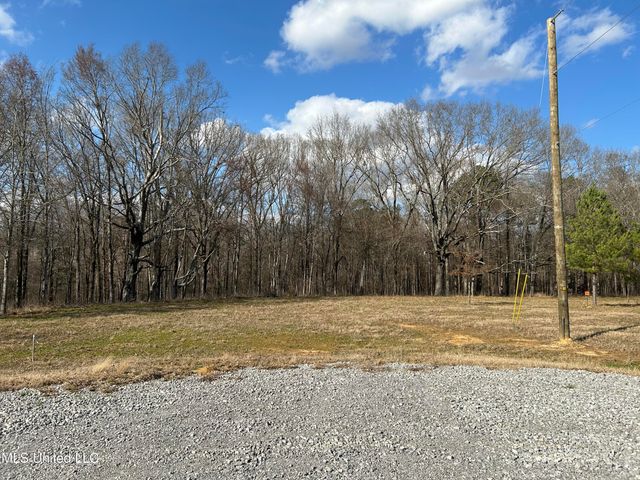 Stout Farm Drive, Canton, MS 39046