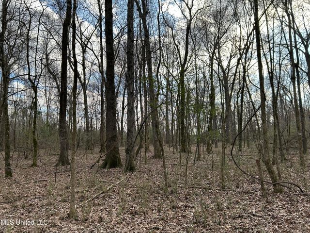 Stout Farm Drive, Canton, MS 39046