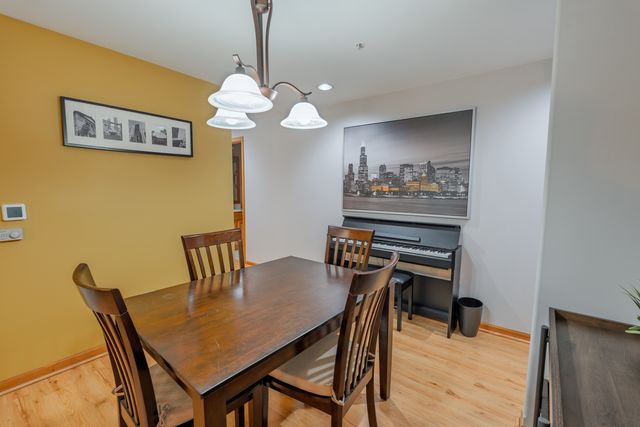 1745 PAVILION Way 206, Park Ridge, IL 60068