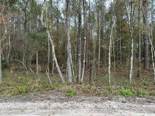 0 SE HIGH FALLS ROAD, Lake City, FL 32025
