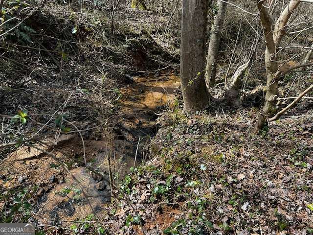 133 Hillandale Street, Cornelia, GA 30531