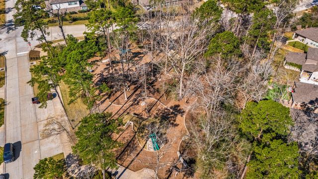 218 Ayana Forest Trail, Conroe, TX 77318
