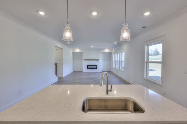 3236 Ventura Ave, White House, TN 37188