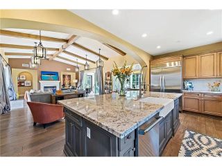 9 Paniolo Road, Ladera Ranch, CA 92694