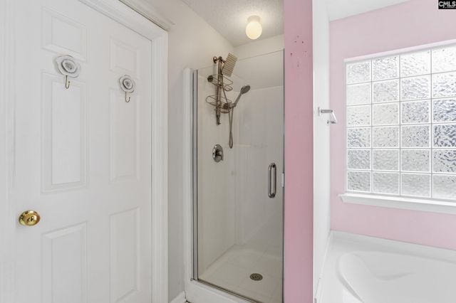 190 Elm Creek Drive, Chapin, SC 29036