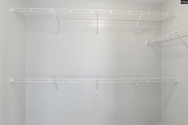 190 Elm Creek Drive, Chapin, SC 29036