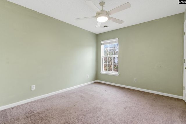 190 Elm Creek Drive, Chapin, SC 29036