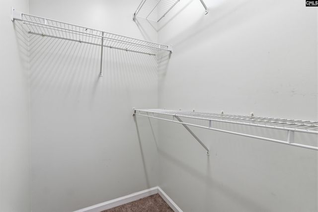 190 Elm Creek Drive, Chapin, SC 29036