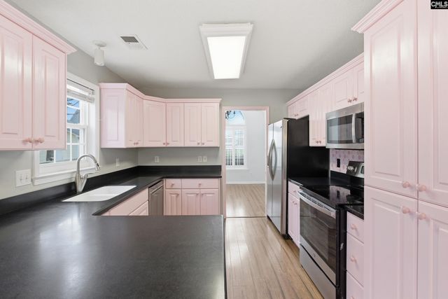 190 Elm Creek Drive, Chapin, SC 29036