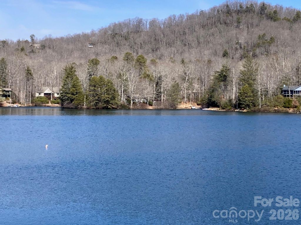 269 Notlvsi Court, Brevard, NC 28712