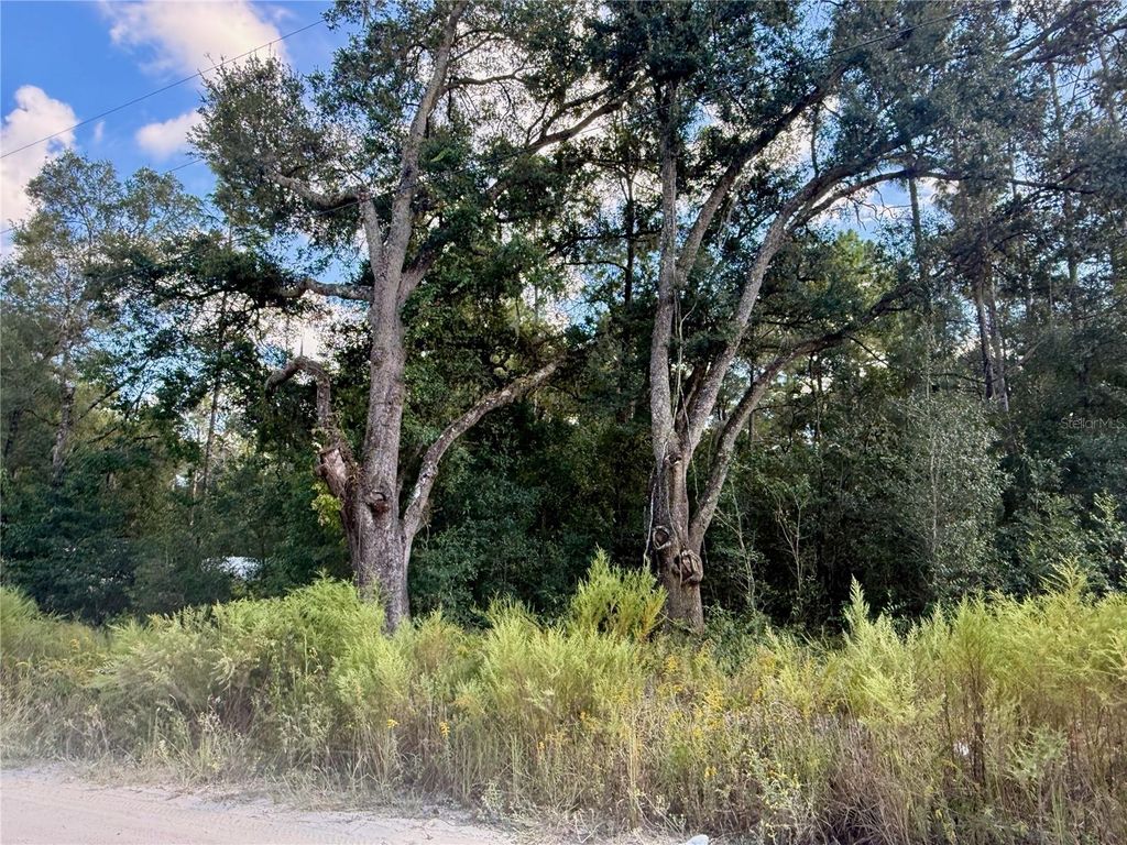 0 SW 16TH PLACE, Ocala, FL 34481