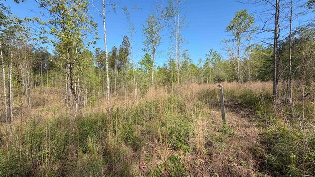 2125 Hwy 247, Belton, SC 29627