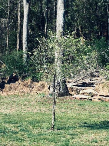 733 Gizzard Creek Road, Sequatchie, TN 37374