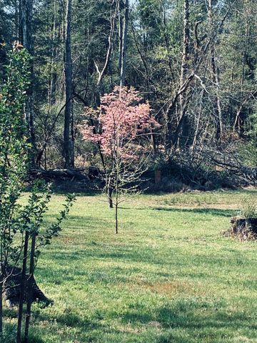 733 Gizzard Creek Road, Sequatchie, TN 37374