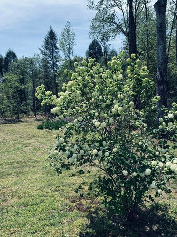 733 Gizzard Creek Road, Sequatchie, TN 37374