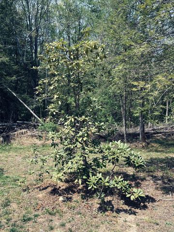 733 Gizzard Creek Road, Sequatchie, TN 37374