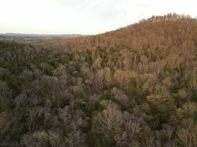 0 Rock Springs Rd, Watertown, TN 37184