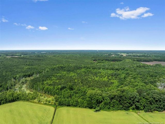 TBD Rich Walker Road, Wade, NC 28395