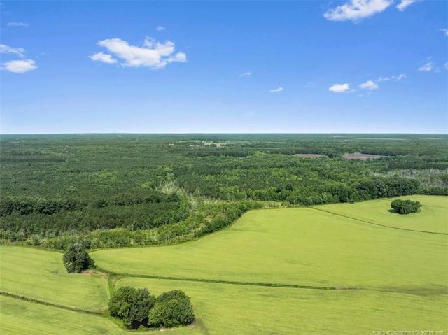 TBD Rich Walker Road, Wade, NC 28395