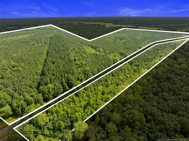 TBD Rich Walker Road, Wade, NC 28395