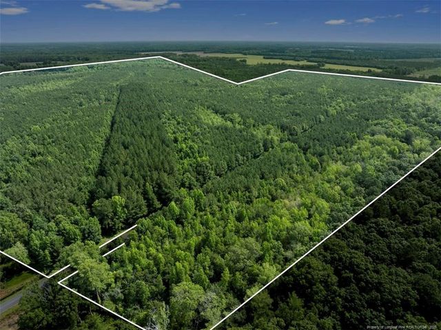 TBD Rich Walker Road, Wade, NC 28395