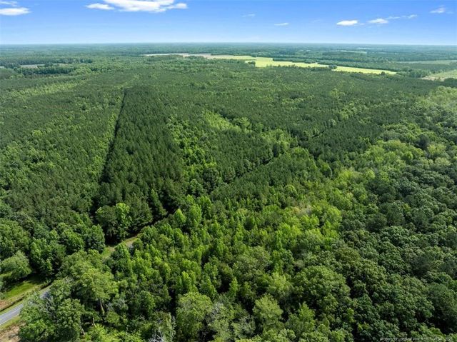 TBD Rich Walker Road, Wade, NC 28395