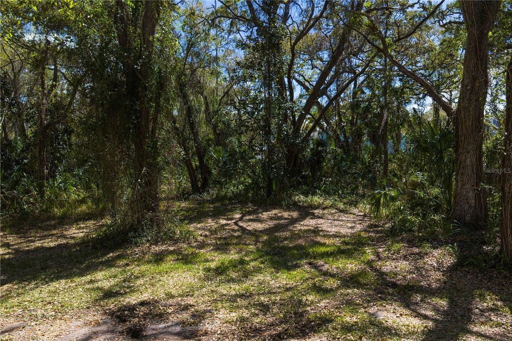 Image 12 of property listing at 8004 BAY DRIVE, Tampa, FL 33635