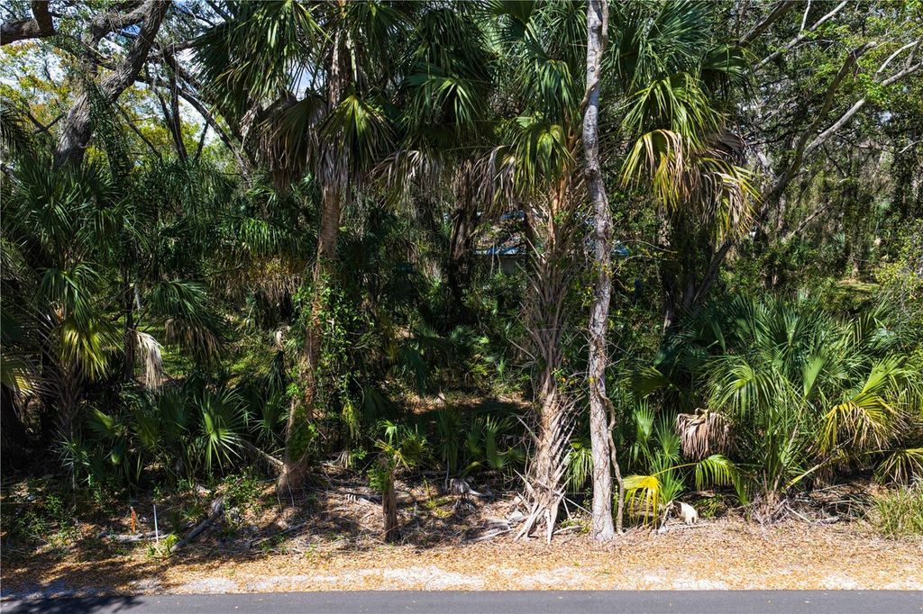 Image 14 of property listing at 8004 BAY DRIVE, Tampa, FL 33635