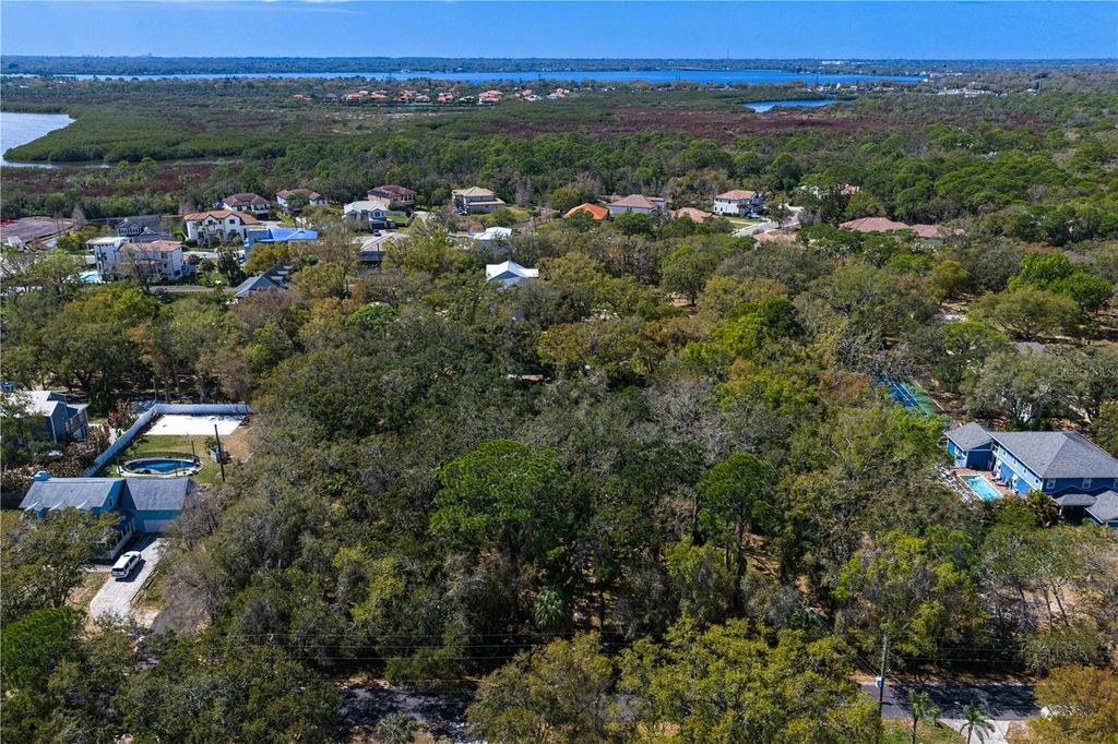 Image 16 of property listing at 8004 BAY DRIVE, Tampa, FL 33635