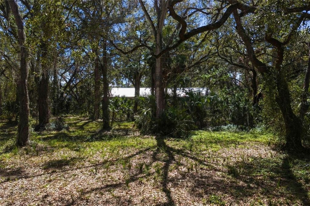 Image 4 of property listing at 8004 BAY DRIVE, Tampa, FL 33635