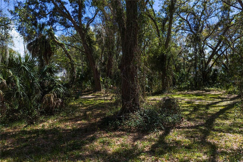 Image 10 of property listing at 8004 BAY DRIVE, Tampa, FL 33635