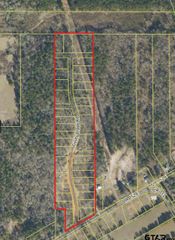 1008-1166 CR 152 (Trinity Creek), Bullard, TX 75757