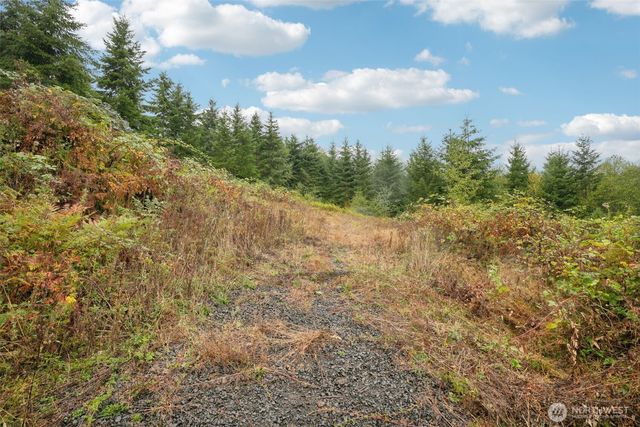 374 Bellwood Drive, Castle Rock, WA 98611